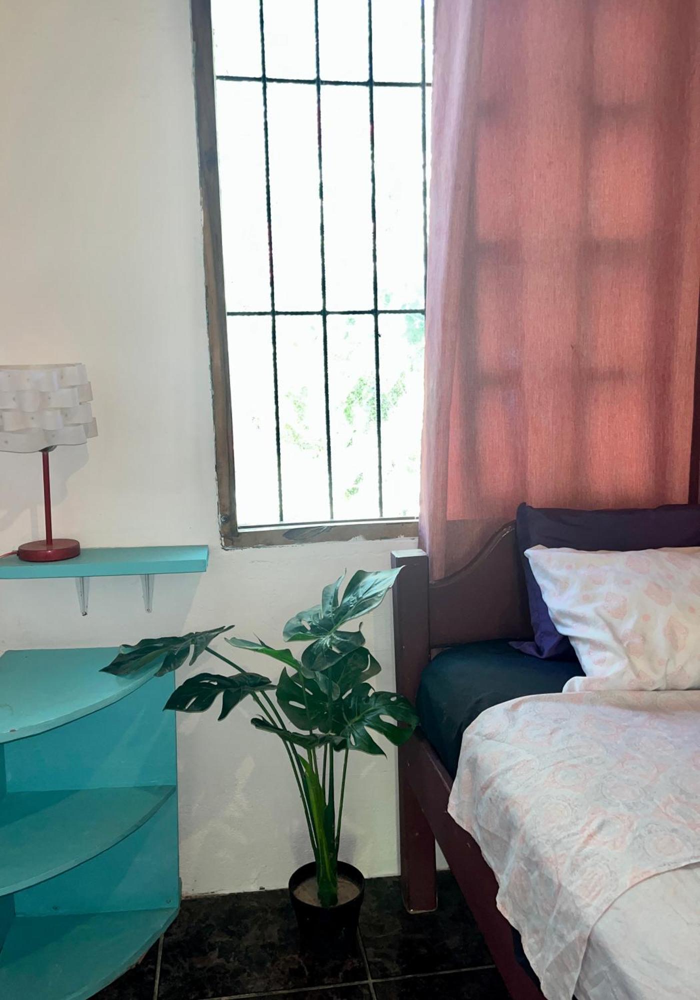 Woodstock Hostel Sámara